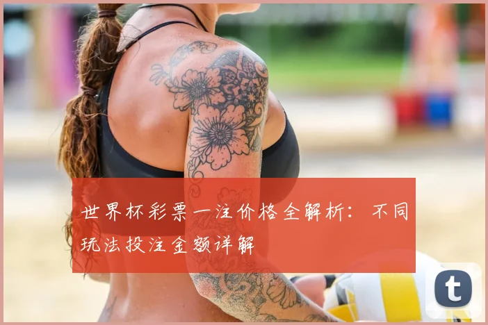 世界杯彩票一注价格全解析：不同玩法投注金额详解