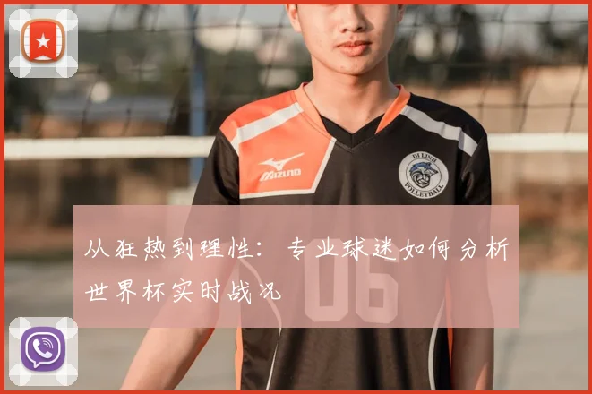 从狂热到理性：专业球迷如何分析世界杯实时战况