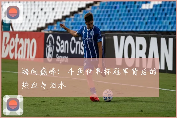 游向巅峰：斗鱼世界杯冠军背后的热血与泪水
