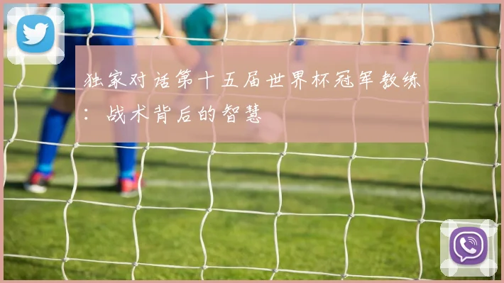 独家对话第十五届世界杯冠军教练：战术背后的智慧