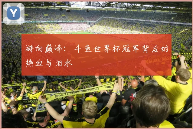 游向巅峰：斗鱼世界杯冠军背后的热血与泪水