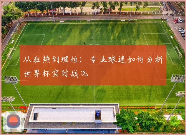 从狂热到理性：专业球迷如何分析世界杯实时战况