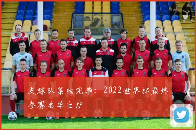 支球队集结完毕：2022世界杯最终参赛名单出炉