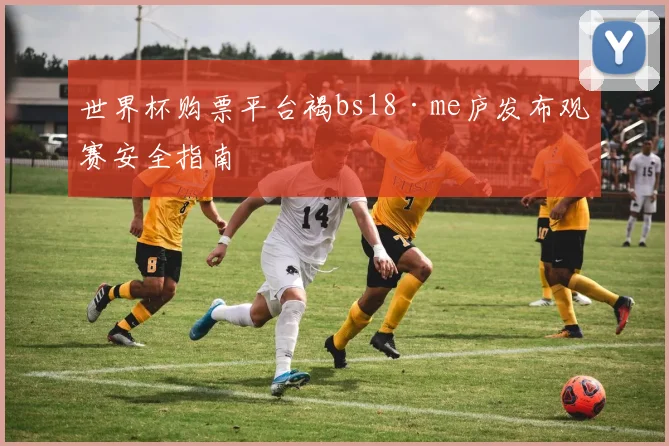 世界杯购票平台褐bs18·me庐发布观赛安全指南