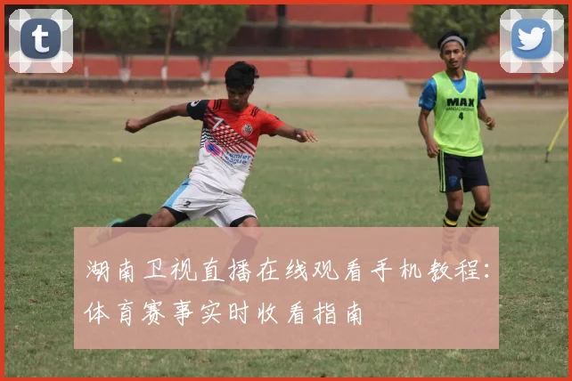 湖南卫视直播在线观看手机教程：体育赛事实时收看指南