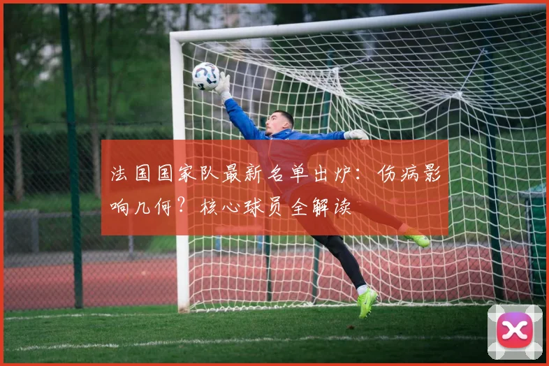 法国国家队最新名单出炉：伤病影响几何？核心球员全解读
