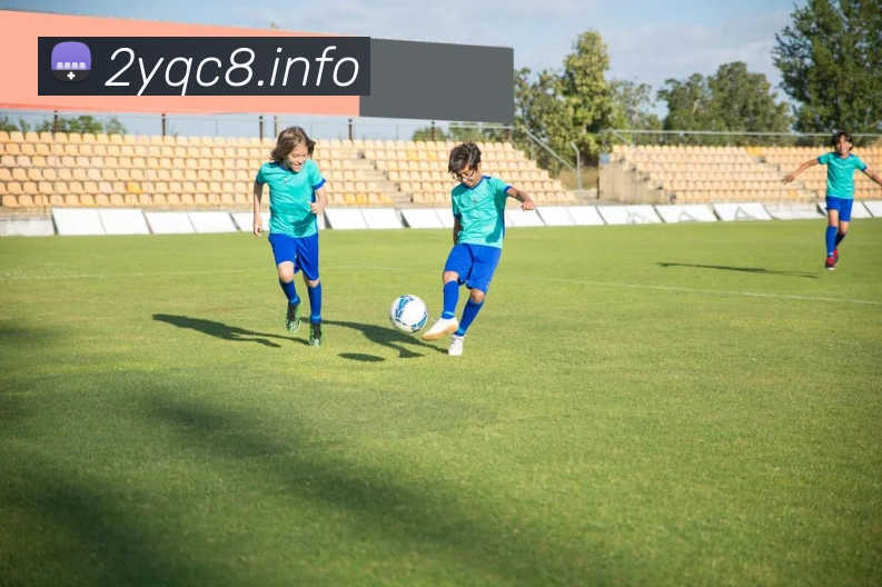 九游网页官方网站发展历程